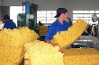 Ngành cao su: Thừa hàng nhưng vẫn phải nhập khẩu